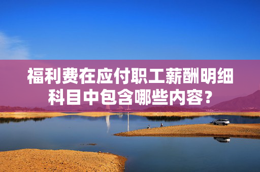 福利费在应付职工薪酬明细科目中包含哪些内容？