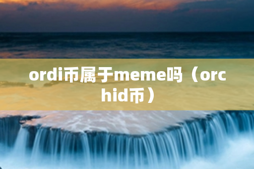 ordi币属于meme吗（orchid币）