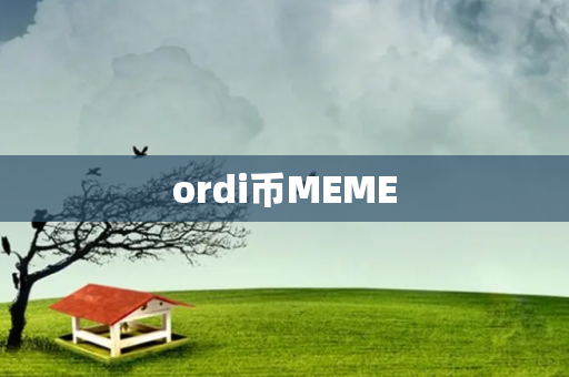 ordi币MEME