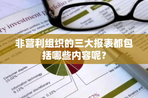 非营利组织的三大报表都包括哪些内容呢？