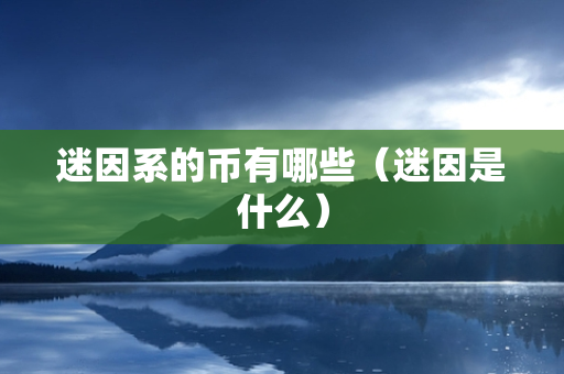 迷因系的币有哪些（迷因是什么）