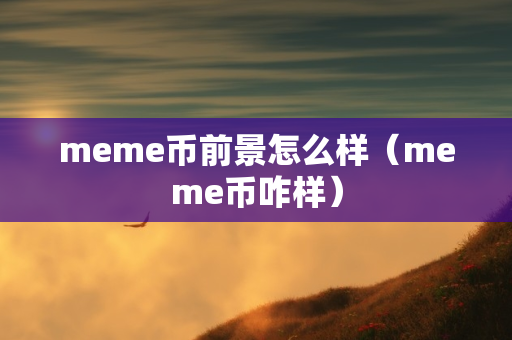 meme币前景怎么样（meme币咋样）