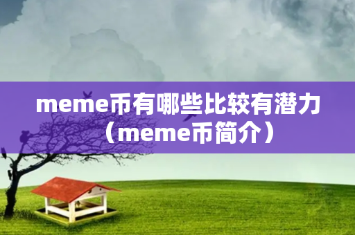 meme币有哪些比较有潜力（meme币简介）