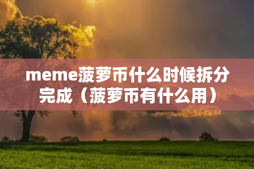 meme菠萝币什么时候拆分完成（菠萝币有什么用）