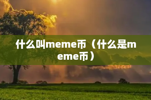 什么叫meme币（什么是meme币）