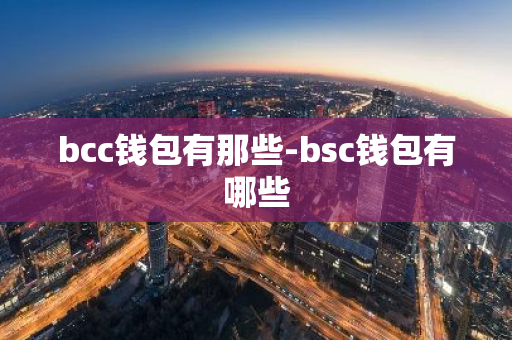 bcc钱包有那些-bsc钱包有哪些