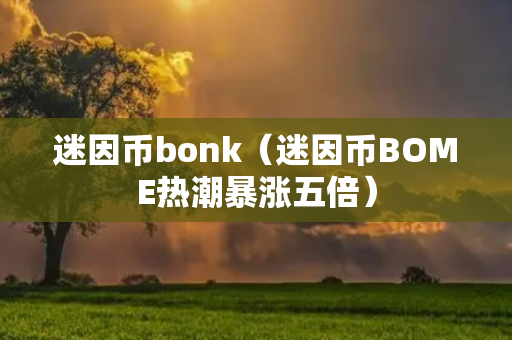 迷因币bonk（迷因币BOME热潮暴涨五倍）