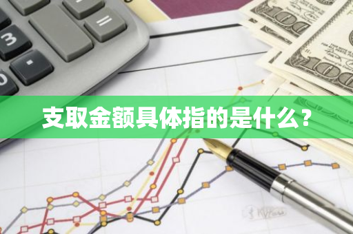 支取金额具体指的是什么？