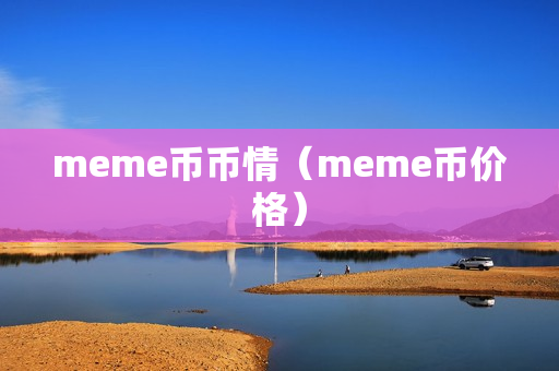 meme币币情（meme币价格）