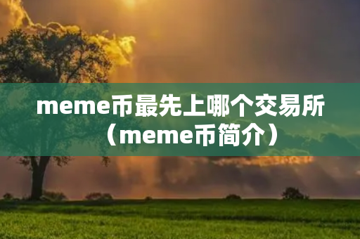 meme币最先上哪个交易所（meme币简介）