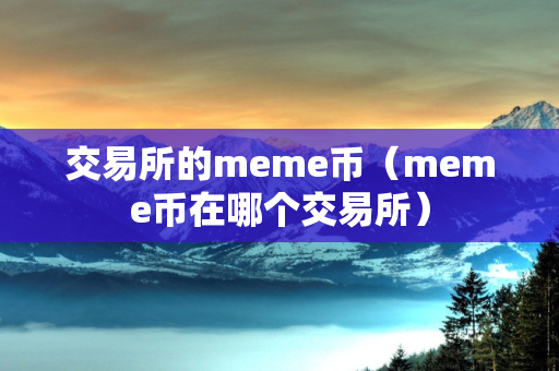 交易所的meme币（meme币在哪个交易所）