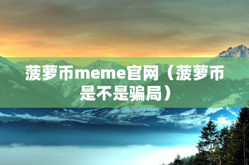 菠萝币meme官网（菠萝币是不是骗局）