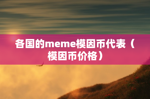 各国的meme模因币代表（模因币价格）