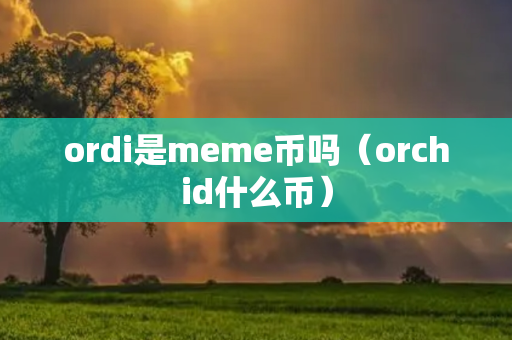 ordi是meme币吗（orchid什么币）