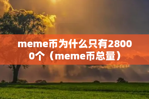 meme币为什么只有28000个（meme币总量）