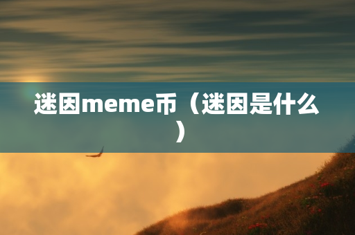 迷因meme币（迷因是什么）