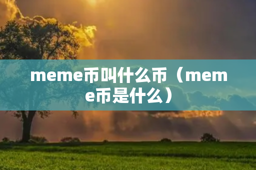 meme币叫什么币（meme币是什么）