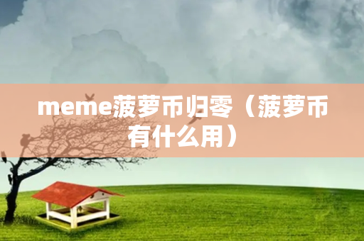 meme菠萝币归零（菠萝币有什么用）