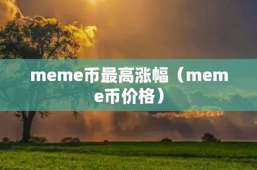 meme币最高涨幅（meme币价格）