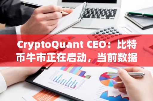 CryptoQuant CEO：比特币牛市正在启动，当前数据与2020年相似