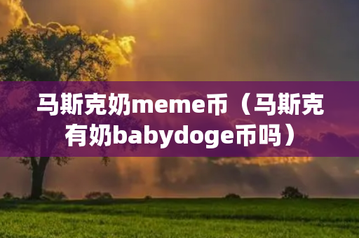 马斯克奶meme币（马斯克有奶babydoge币吗）