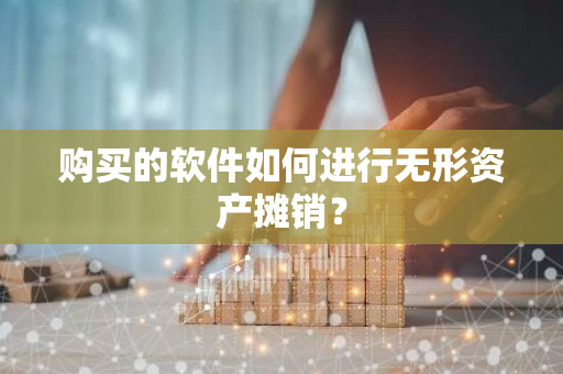 购买的软件如何进行无形资产摊销？