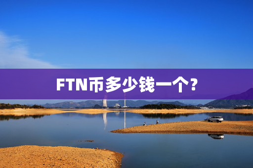 FTN币多少钱一个？