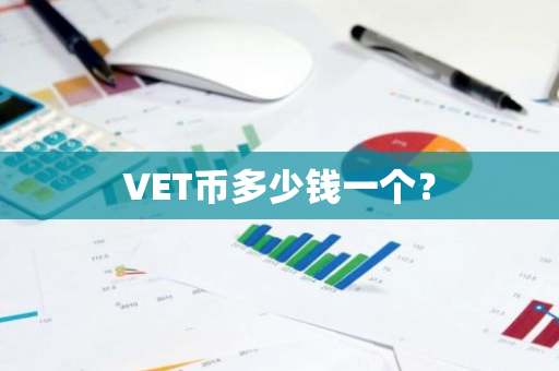 VET币多少钱一个？