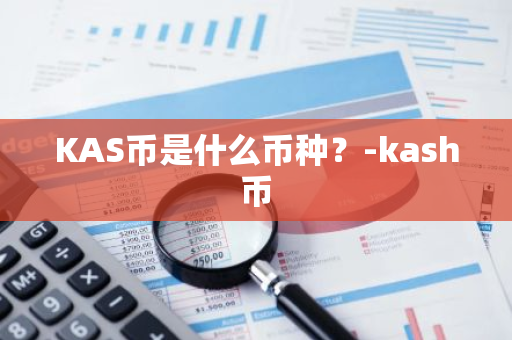 KAS币是什么币种？-kash币