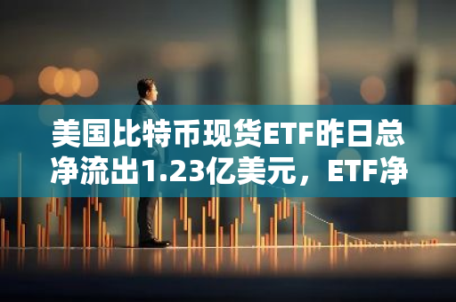 美国比特币现货ETF昨日总净流出1.23亿美元，ETF净资产比率达5.45%