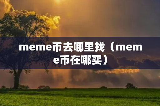 meme币去哪里找（meme币在哪买）