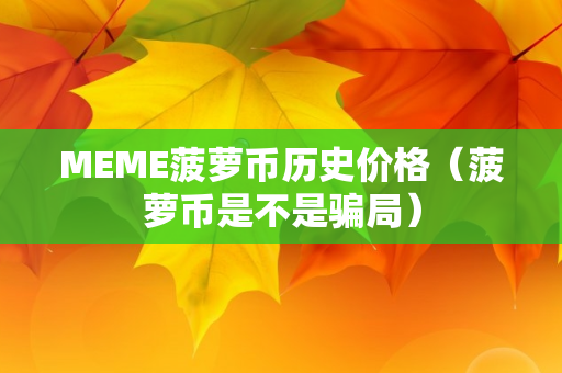 MEME菠萝币历史价格（菠萝币是不是骗局）