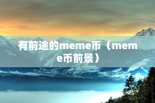 有前途的meme币（meme币前景）