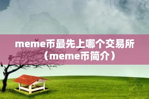 meme币最先上哪个交易所（meme币简介）