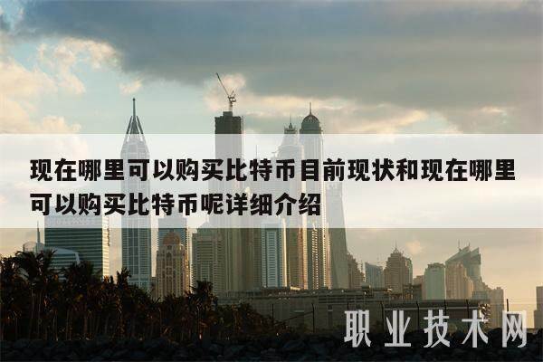 现在哪里可以购买比特币目前现状和现在哪里可以购买比特币呢详细介绍