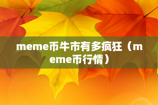 meme币牛市有多疯狂（meme币行情）