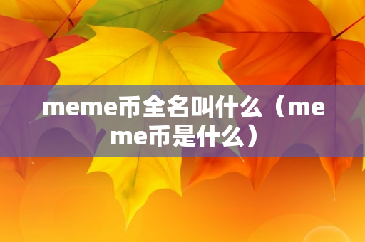 meme币全名叫什么（meme币是什么）