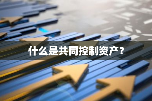 什么是共同控制资产？