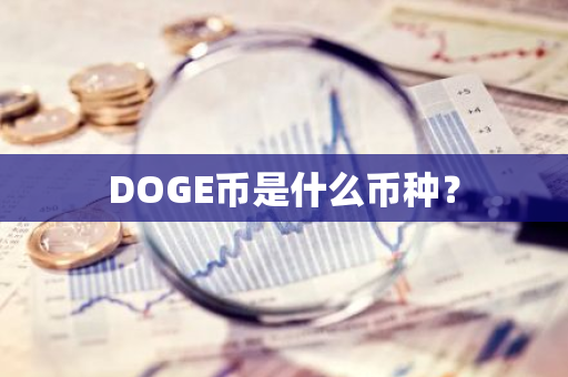 DOGE币是什么币种？