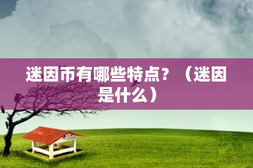 迷因币有哪些特点？（迷因是什么）