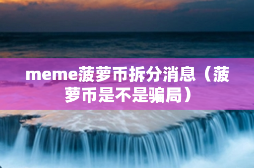 meme菠萝币拆分消息（菠萝币是不是骗局）