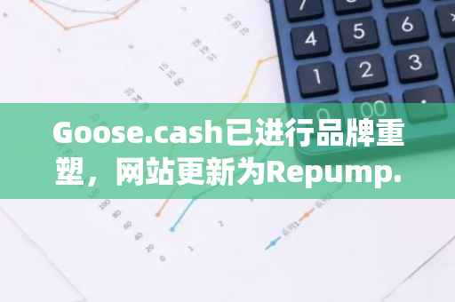 Goose.cash已进行品牌重塑，网站更新为Repump.dev