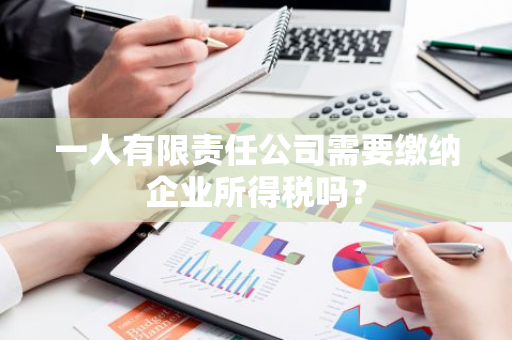 一人有限责任公司需要缴纳企业所得税吗？