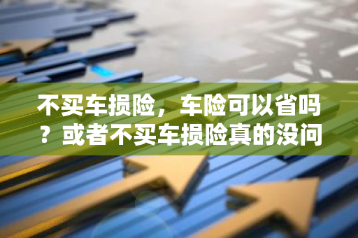 不买车损险，车险可以省吗？或者不买车损险真的没问题吗？