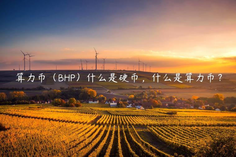 算力币（BHP）什么是硬币，什么是算力币？