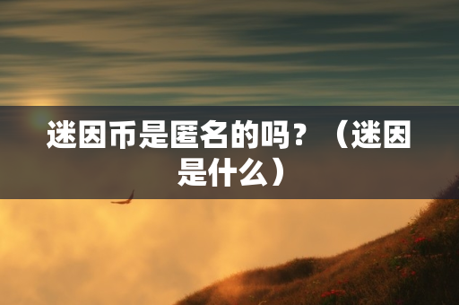 迷因币是匿名的吗？（迷因是什么）