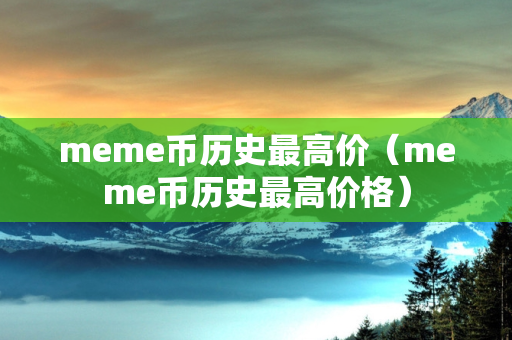 meme币历史最高价（meme币历史最高价格）