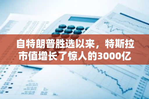 自特朗普胜选以来，特斯拉市值增长了惊人的3000亿美元，展现出强大的市场影响力