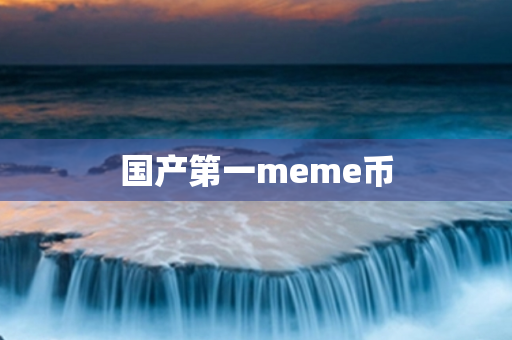 国产第一meme币