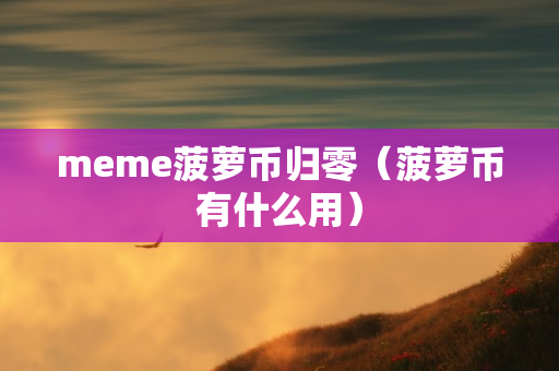 meme菠萝币归零（菠萝币有什么用）